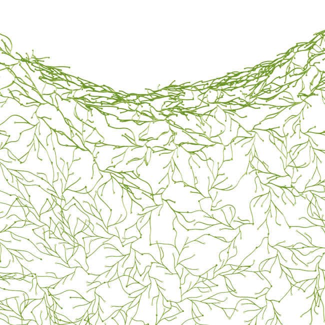 Ronan and Erwan Bouroullec: Breton-born Designer Brothers