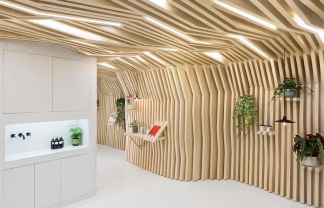 Joshua Florquin Gives A Relaxing Forest Vibe To This Beauty Salon